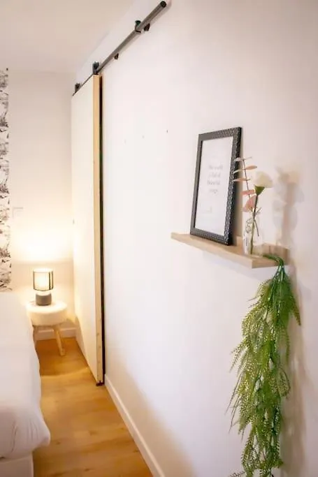 Le Douillet : Duplex Elegant En Centre Ville Albertville