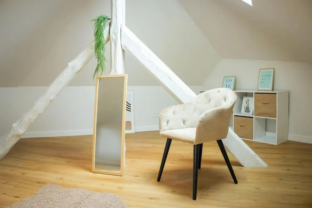 Le Douillet : Duplex Elegant En Centre Ville Albertville Fransa