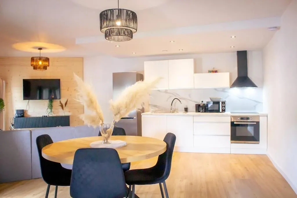 Le Douillet : Duplex Elegant En Centre Ville Albertville